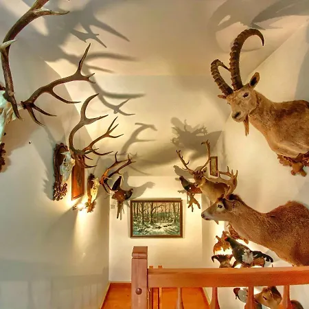 Pod Skocznia Βίλα *