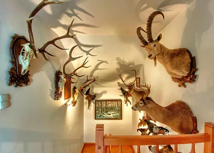 Pod Skocznia Villa *